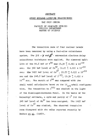 Short nuclear lifetime measurements. thumbnail