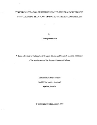 Systemic alteration of defense-related gene transcript levels in mycorrhizal bean plants infected with Rhizoctonia solani thumbnail