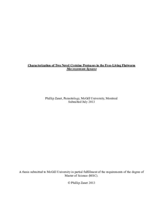 Characterization of two novel cysteine proteases in the free-living organism «Macrostomum ligano » thumbnail