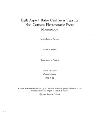 High aspect ratio cantilever tips for non-contact electrostatic force microscopy thumbnail