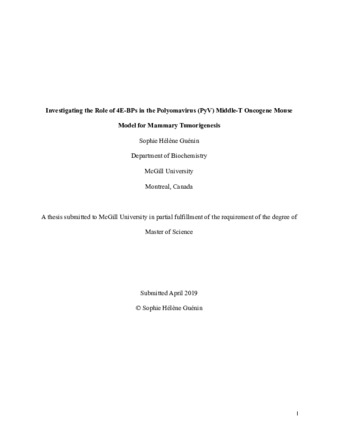Investigating the role of 4E-BPs in the polyomavirus (PyV) middle-T oncogene mouse model for mammary tumorigenesis thumbnail