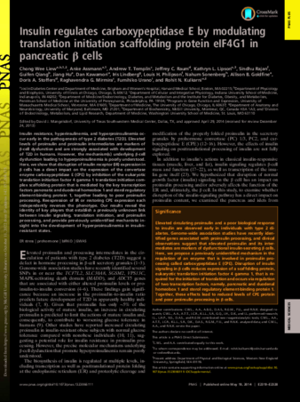 Insulin regulates carboxypeptidase E by modulating translation initiation scaffolding protein eIF4G1 in pancreatic β cells thumbnail