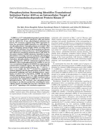 Phosphorylation Screening Identifies Translational Initiation Factor 4GII as an Intracellular Target of Ca2+/Calmodulin-dependent Protein Kinase I thumbnail