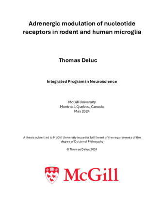 Adrenergic modulation of nucleotide receptors in rodent and human microglia thumbnail