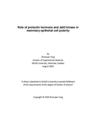 Role of prolactin hormone and Jak2 kinase in mammary epithelial cell polarity thumbnail