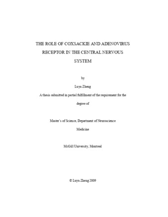 The role of Coxsackie and Adenovirus receptor in the central nervous system thumbnail