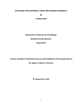 Exploring mitochondrial fusion mechanism in mammals thumbnail