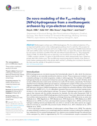 De novo modeling of the F420-reducing [NiFe]-hydrogenase from a methanogenic archaeon by cryo-electron microscopy thumbnail