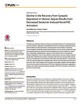 Decline in the Recovery from Synaptic Depression in Heavier Aplysia Results from Decreased Serotonin-Induced Novel PKC Activation thumbnail