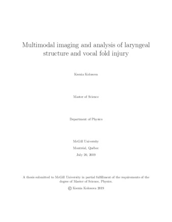 Multimodal imaging and analysis of laryngeal structure and vocal fold injury thumbnail