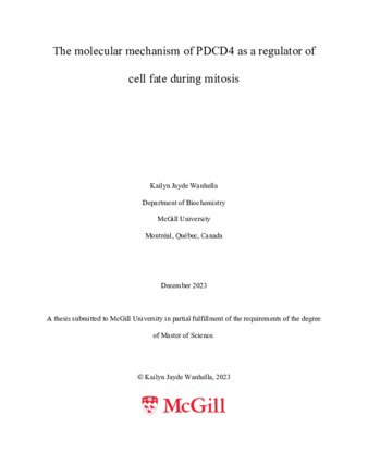 The molecular mechanism of PDCD4 as a regulator of cell fate thumbnail