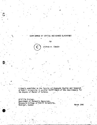 Corn damage by captive red-winged blackbirds. thumbnail