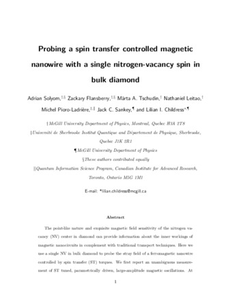 Probing a spin transfer controlled magnetic nanowire with a single nitrogen-vacancy spin in bulk diamond thumbnail