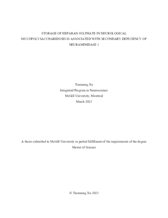 Storage of heparan sulphate in neurological Mucopolysaccharidosis is associated with secondary deficiency of Neuraminidase 1 thumbnail