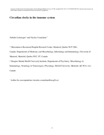 Circadian Clocks in the Immune System thumbnail