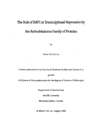 The Role of RBPI in Transcriptional Repression by the Retinoblastoma Family of Proteins thumbnail