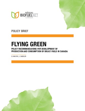 Flying Green: Policy Recommendations for Development of Produciton and Consumption of Biojet Fuels in Canada thumbnail