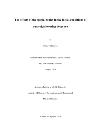 The effects of the spatial scales in the initial conditions of numerical weather forecasts thumbnail