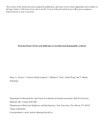 Structural basis of keto acid utilization in nonribosomal depsipeptide synthesis thumbnail