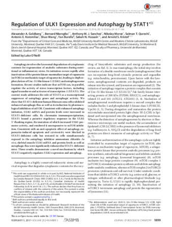 Regulation of ULK1 Expression and Autophagy by STAT1 thumbnail