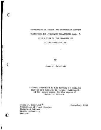 Development of tissue and protoplast culture techniques for Impatiens walleriana Hook. f. with a view to the transfer of yellow flower colour thumbnail