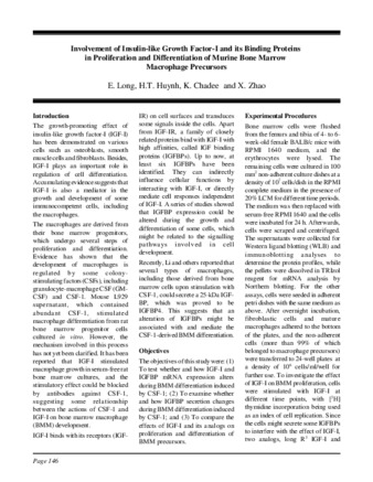 Involvement of Insulin-like Growth Factor-I and its Binding Proteins in Proliferation and Differentiation of Murine Bone Marrow Macrophage Precursors thumbnail