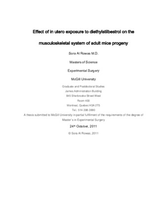 The effect of «In utero» exposure to diethylstilbestrol on the musculoskeletal system of adult mice progeny thumbnail