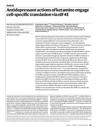 Antidepressant actions of ketamine engage cell-specific translation via eIF4E thumbnail