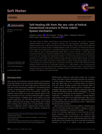 Self-healing silk from the sea: role of helical hierarchical structure in Pinna nobilis byssus mechanics thumbnail