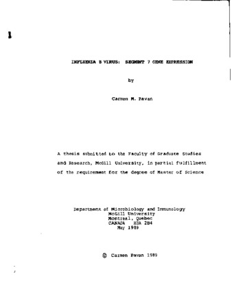 Influenza B virus : segment 7 gene expression thumbnail