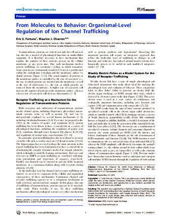 From molecules to behavior: organismal-level regulation of ion channel trafficking thumbnail