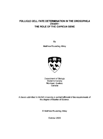 Follicle cell fate determination in the Drosophila ovary : the role of the capicua gene thumbnail