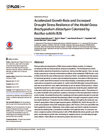 Accelerated Growth Rate and Increased Drought Stress Resilience of the Model Grass Brachypodium distachyon Colonized by Bacillus subtilis B26 thumbnail