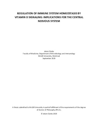 Regulation of immune system homeostasis by vitamin d signaling:implications for the central nervous system thumbnail