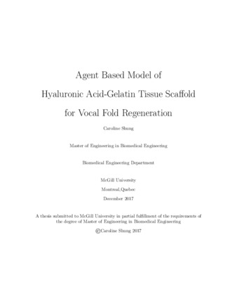 Agent based model of hyaluronic acid-gelatin tissue scaffold for vocal fold regeneration thumbnail