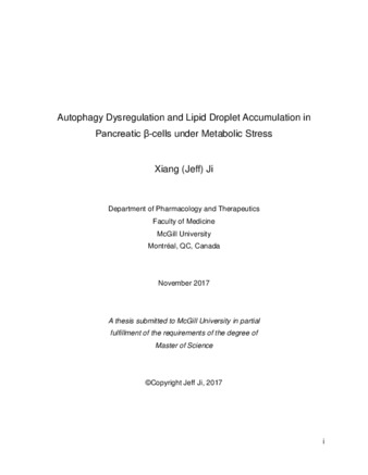 Autophagy dysregulation and lipid droplet accumulation in pancreatic beta-cells under metabolic stress thumbnail