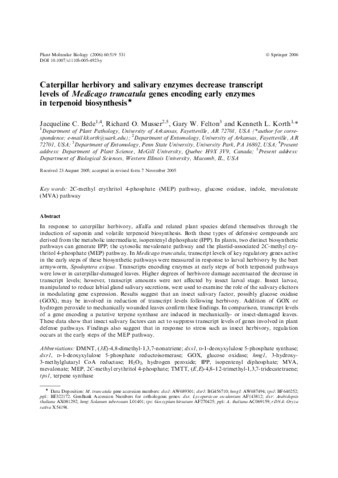 Caterpillar herbivory and salivary enzymes decrease transcript levels of Medicago truncatula genes encoding early enzymes in terpenoid biosynthesis thumbnail