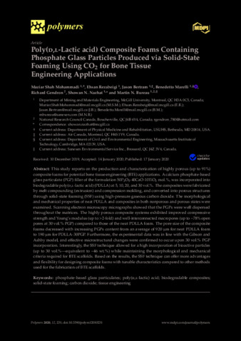 Poly(d,l-Lactic acid) Composite Foams Containing Phosphate Glass Particles Produced via Solid-State Foaming Using CO2 for Bone Tissue Engineering Applications thumbnail