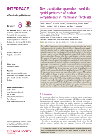 New quantitative approaches reveal the spatial preference of nuclear compartments in mammalian fibroblasts thumbnail
