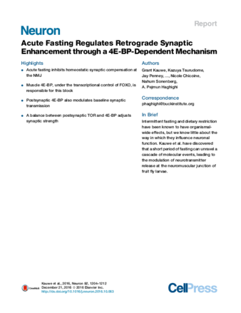 Acute Fasting Regulates Retrograde Synaptic Enhancement through a 4E-BP-Dependent Mechanism thumbnail