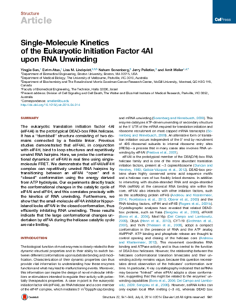 Single-Molecule Kinetics of the Eukaryotic Initiation Factor 4AI upon RNA Unwinding thumbnail