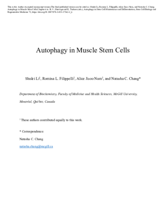 Autophagy in Muscle Stem Cells thumbnail