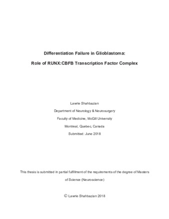 Differentiation failure in glioblastoma: Role of RUNX:CBFB transcription factor complex thumbnail