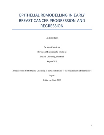 Epithelial remodelling in early breast cancer progression and regression thumbnail