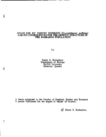 Space use by vervet monkeys (Cercopithecus aethiops) and its consequences for the genetic structure of the Barbados population thumbnail