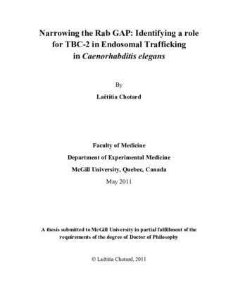 Narrowing the Rab GAP: identifying a role for TBC-2 in endosomal trafficking in «Caenorhabditis elegans» thumbnail