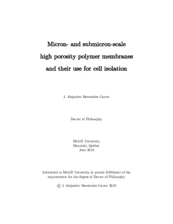 Micron-and submicron-scale high porosity polymer membranes and their use for cell isolation thumbnail