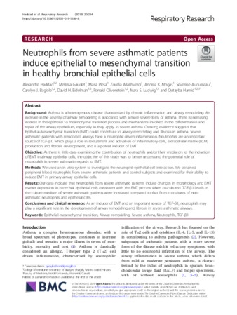 Neutrophils from severe asthmatic patients induce epithelial to mesenchymal transition in healthy bronchial epithelial cells thumbnail