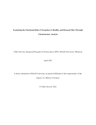 Examining the functional role of torpedoes in healthy and diseased mice through ultrastructure analysis thumbnail