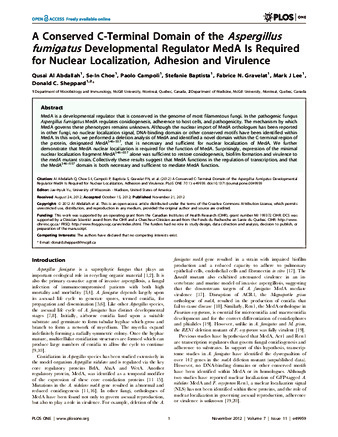 A Conserved C-Terminal Domain of the Aspergillus fumigatus Developmental Regulator MedA Is Required for Nuclear Localization, Adhesion and Virulence thumbnail